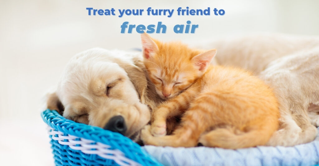 Animal-friendly HVAC business ad sample